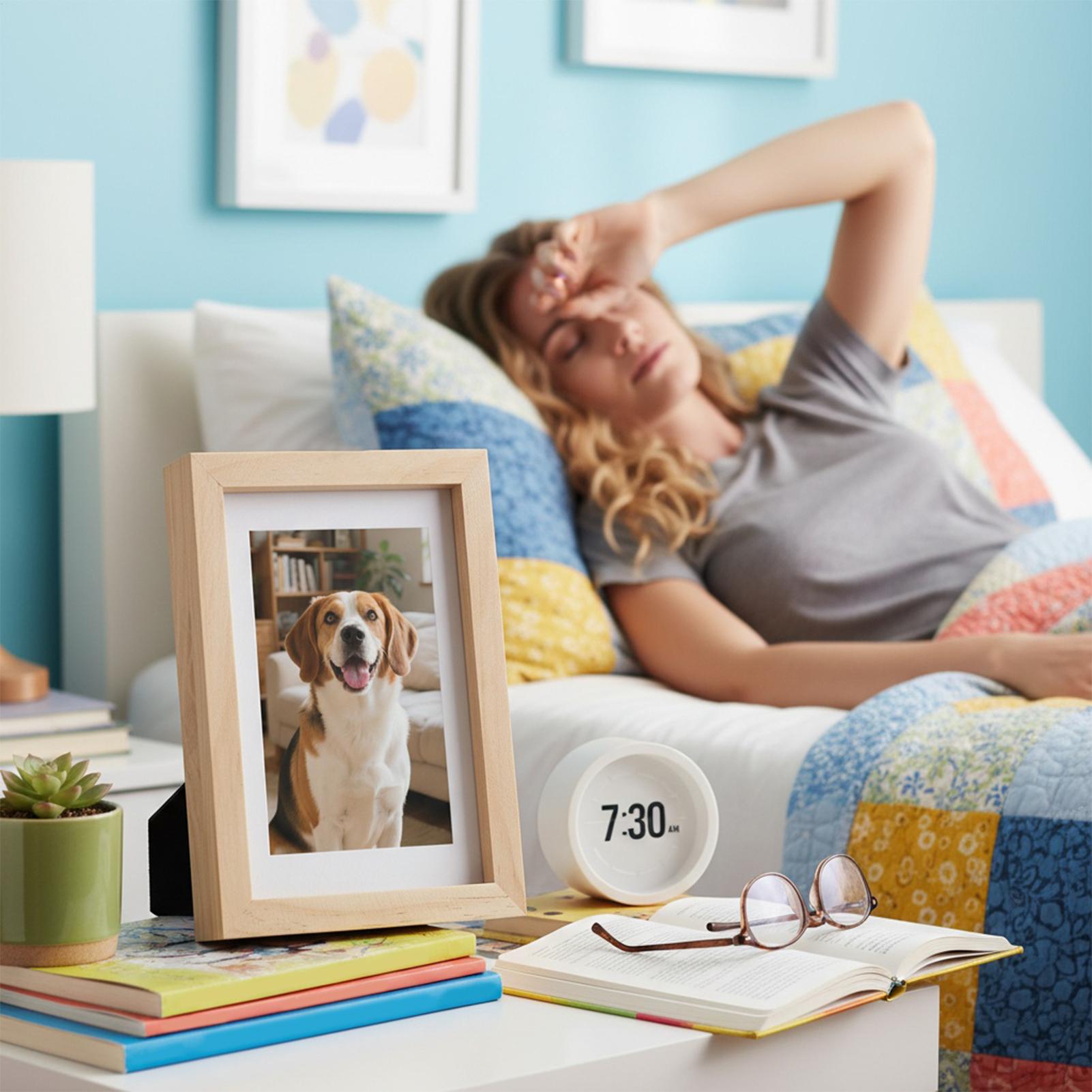 Safe Stash Frame Discreet Stor - مراجعة Home Office Passport وسعره